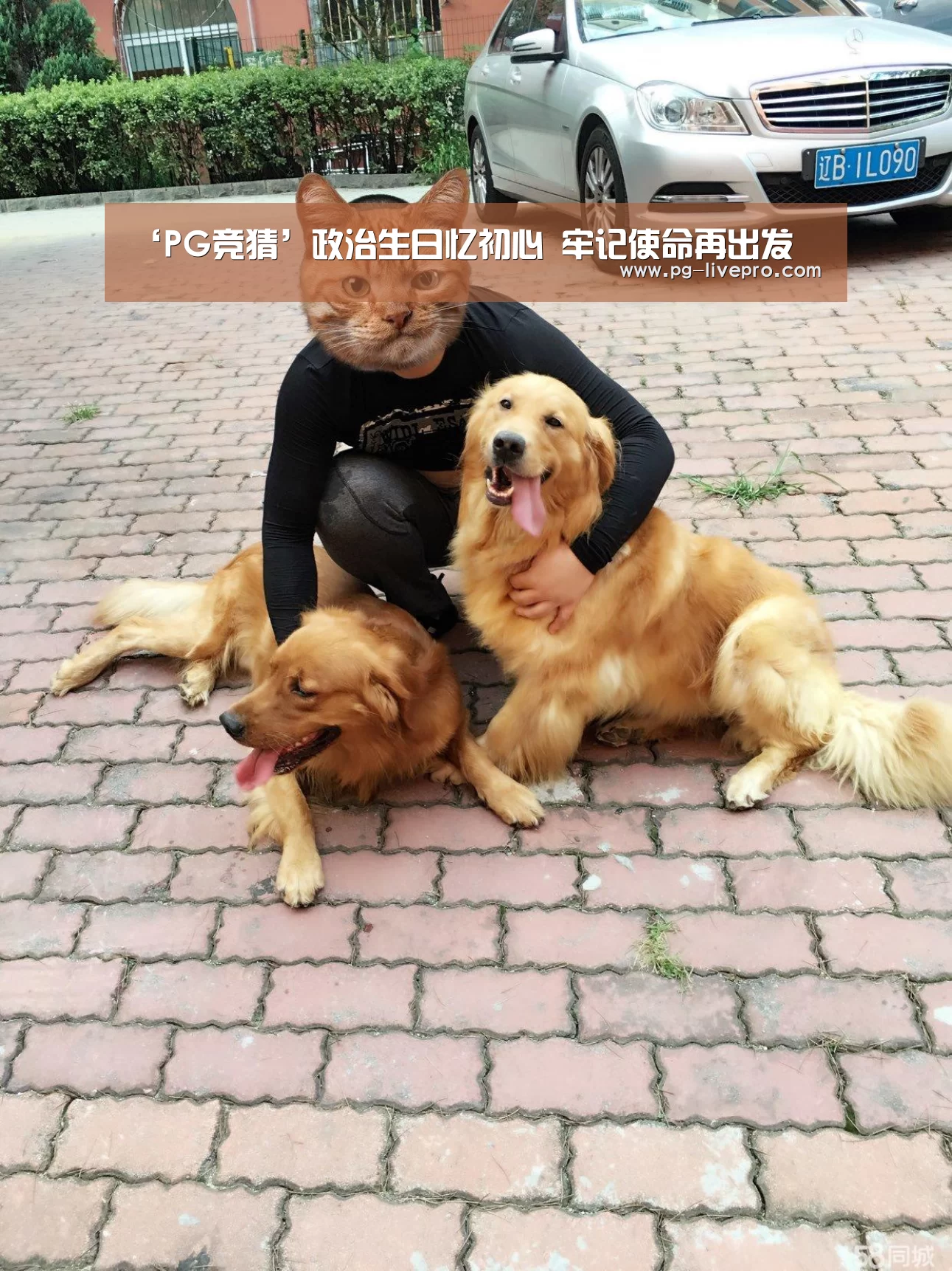 ‘PG竞猜’政治生日忆初心 牢记使命再出发