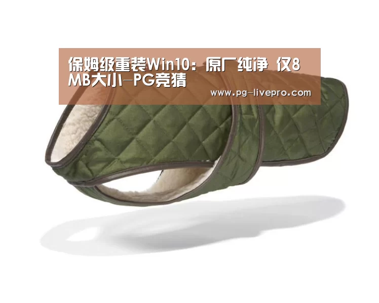 保姆级重装Win10:原厂纯净 仅8MB大小-PG竞猜(图3) PG篮球