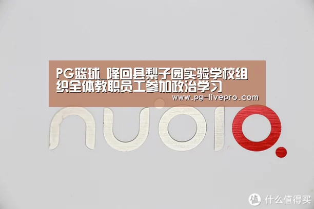 PG篮球_隆回县梨子园实验学校组织全体教职员工参加政治学习(图2) PG足球