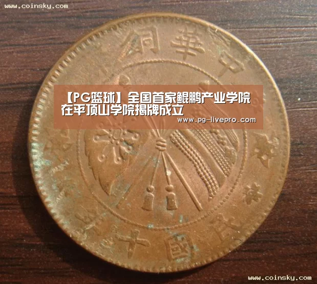 【PG篮球】全国首家鲲鹏产业学院在平顶山学院揭牌成立(图1) PG足球
