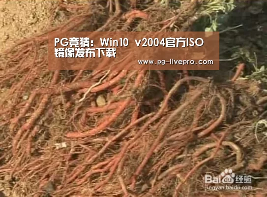 PG竞猜:Win10 v2004官方ISO镜像发布下载(图1) PG体育