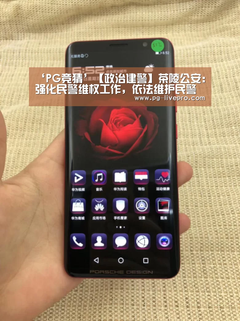 ‘PG竞猜’【政治建警】茶陵公安:强化民警维权工作,依法维护民警执法权威