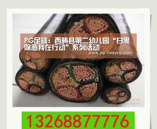PG足球:西畴县第二幼儿园“扫黑除恶我在行动”系列活动(图3) PG体育