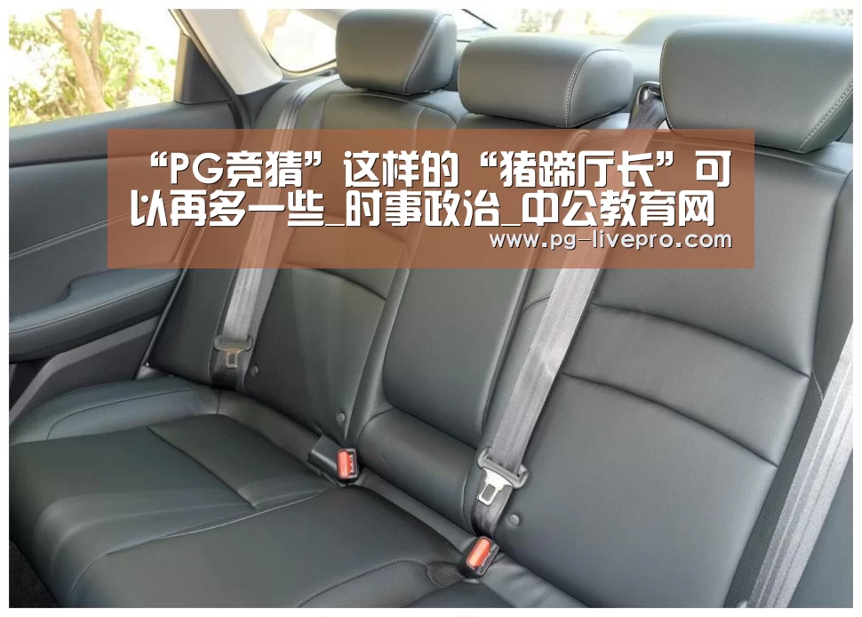 “PG竞猜”这样的“猪蹄厅长”可以再多一些_时事政治_中公教育网(图3) PG足球