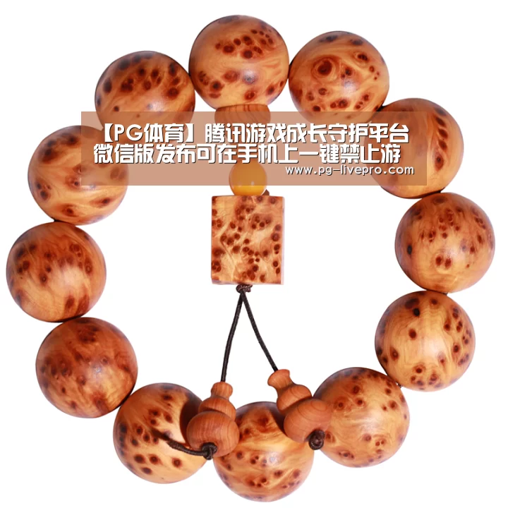 【PG体育】腾讯游戏成长守护平台微信版发布可在手机上一键禁止游戏