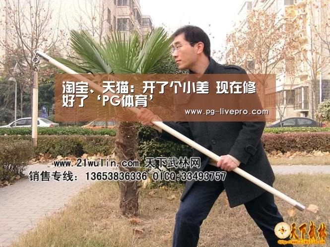 淘宝、天猫:开了个小差 现在修好了‘PG体育’(图3) PG竞猜