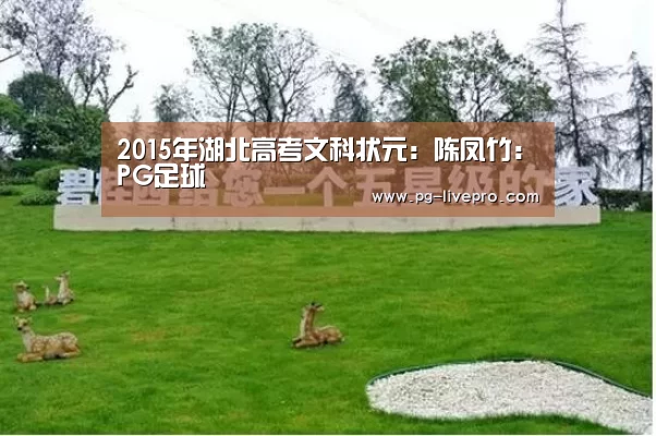 2015年湖北高考文科状元:陈凤竹:PG足球(图1) PG竞猜